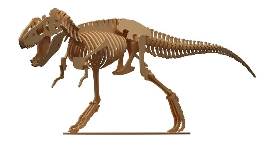 Orta Seviye DinazorlarT-REX Dinazor Maketi | Orta Seviye3D Sergi