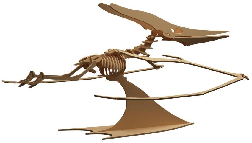 Orta Seviye DinazorlarTerodaktil Dinazor Maketi | Orta Seviye3D Sergi