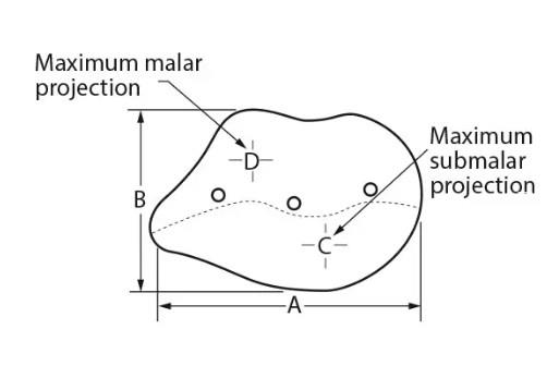 COMBINED SUBMALAR SHELL
