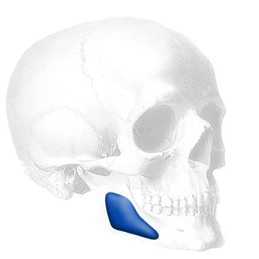 CONFORM MANDIBULAR ANGLE