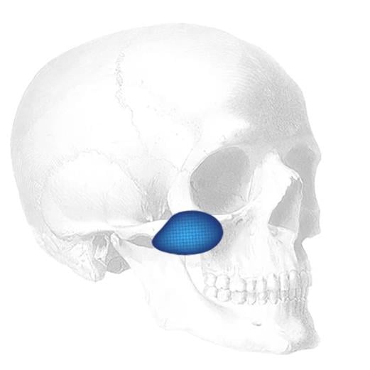 CONFORM TERINO MALAR SHELL