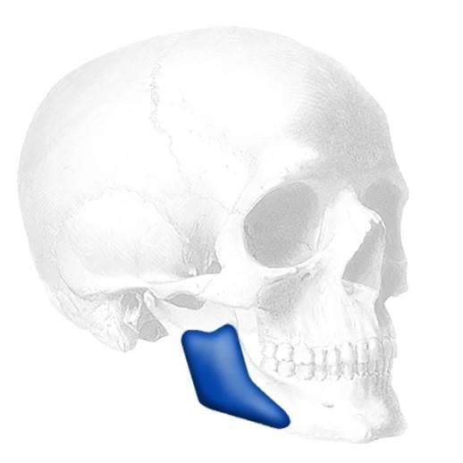 LATERAL MANDIBULAR ANGLE