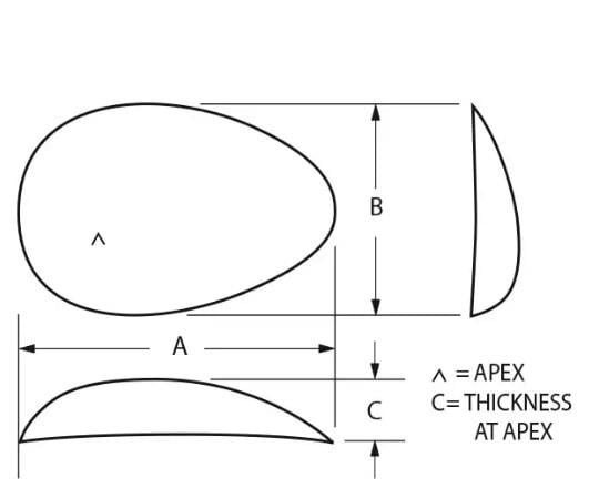 POWERFLEX PECTORAL  SMOOTH