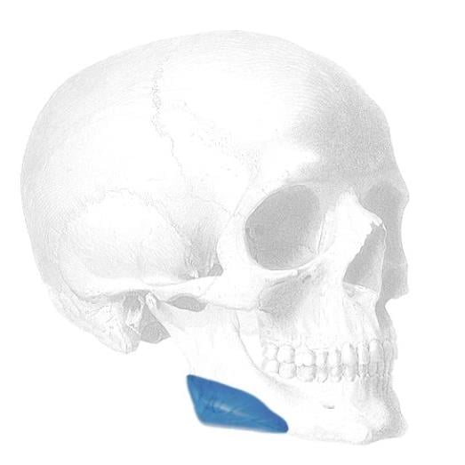 VERTICAL MANDIBULAR ANGLE