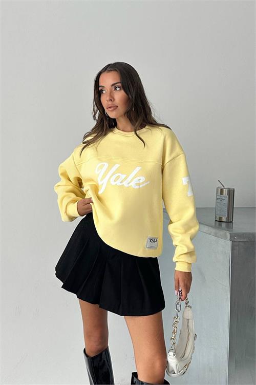 Dipmoda kadın bisiklet yaka baskılı sweat DPG101