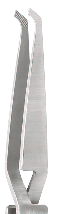 Direct Bond Bracket Holder