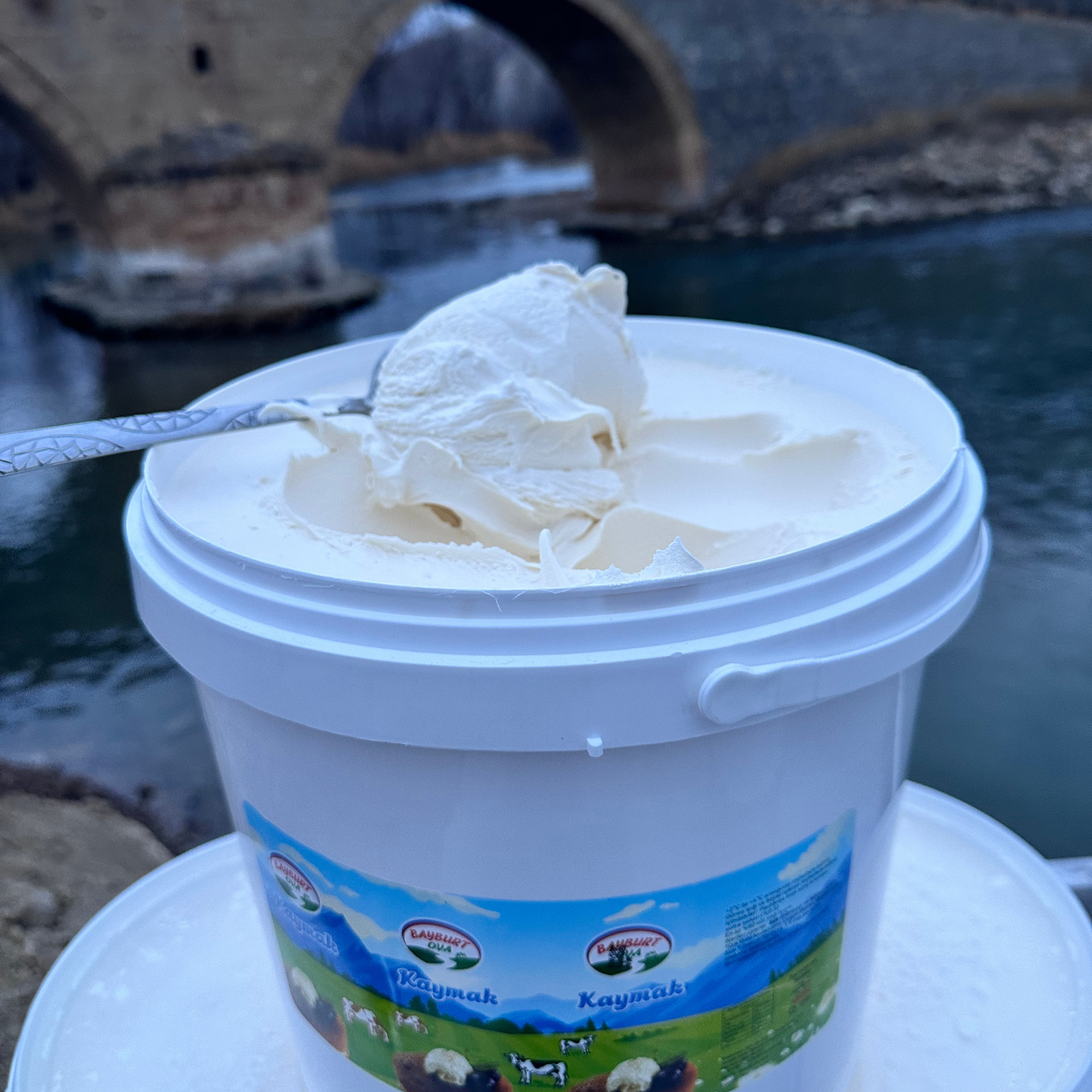 Taze Kaymak 9650 gr