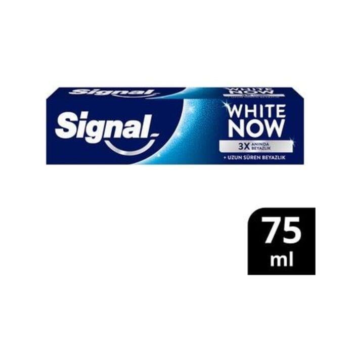 signal-dis-macun-75ml-white-now-tp-94147-.jpg