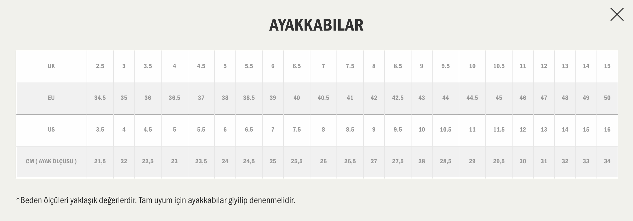 Vans Skate Old Skool 36 + Ayakkabı