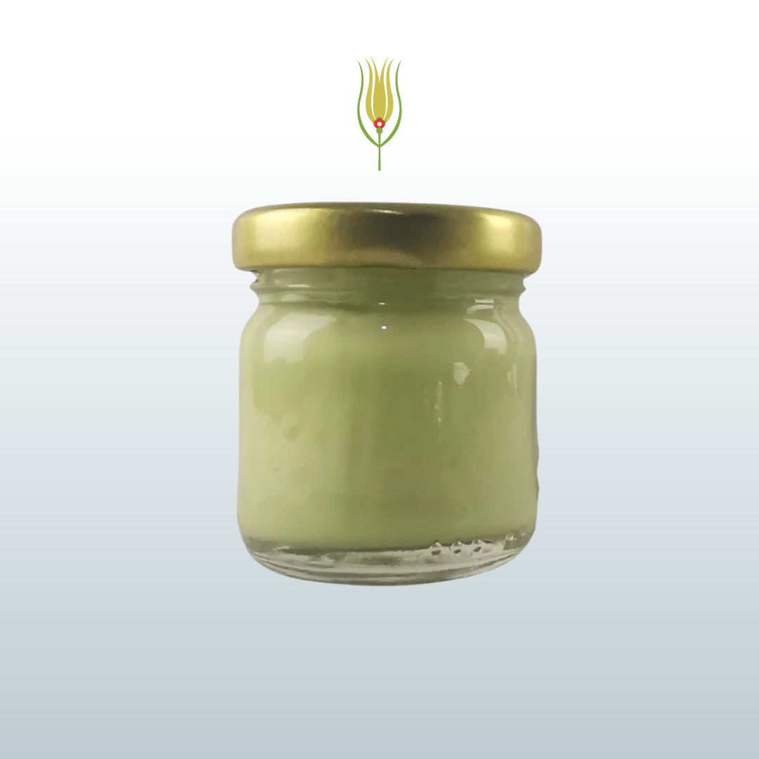 Art Elegant Seramik ve Çini Boya 40gr 8825 Fıstık Yeşili Açık