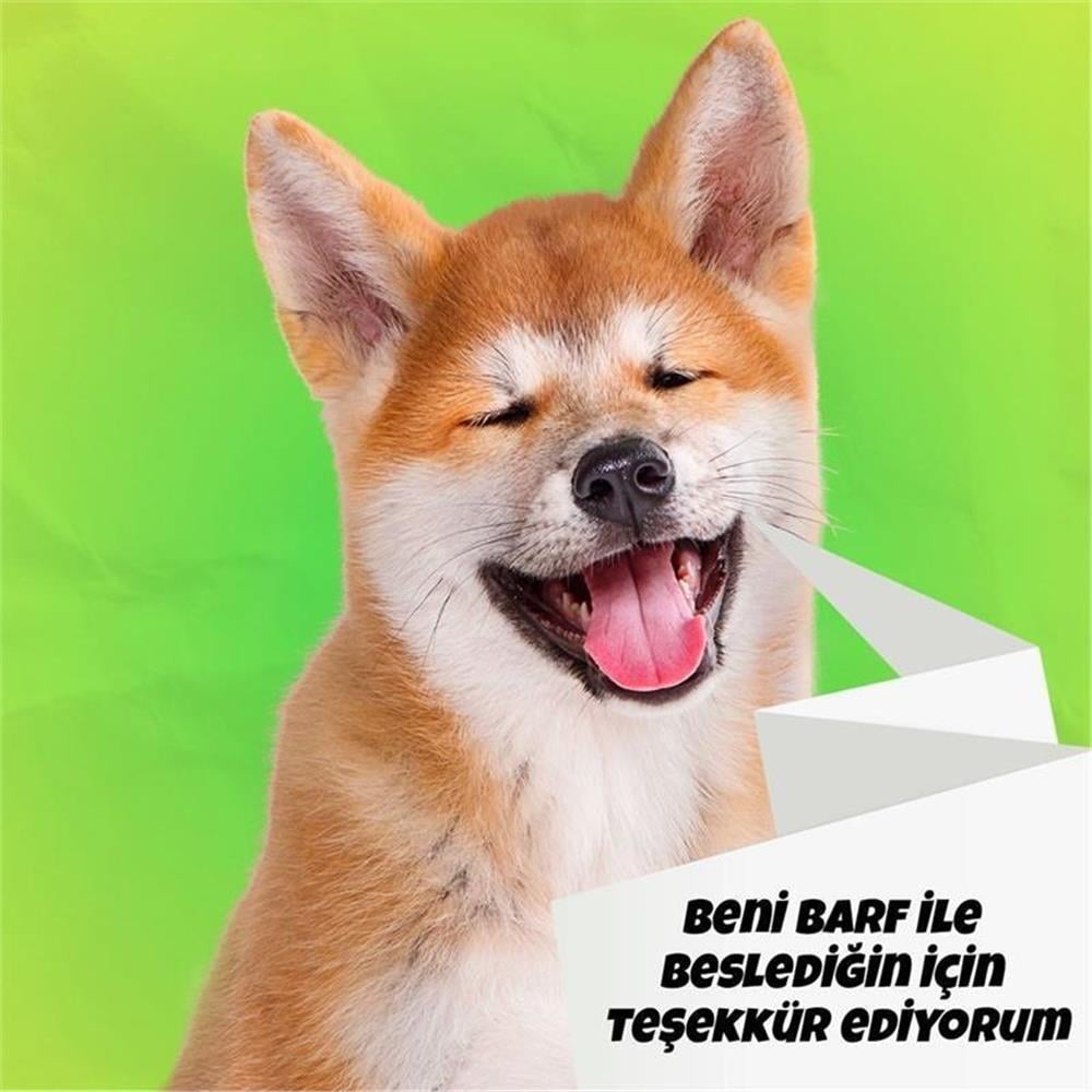 Atom Hindi Barf 4 kg Köpek Maması 