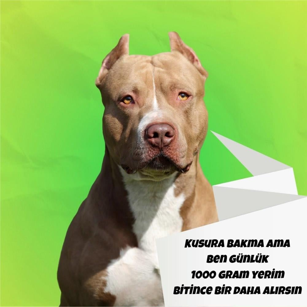 Mix Barf 13 kg Aç Bitir Paket Köpek Maması