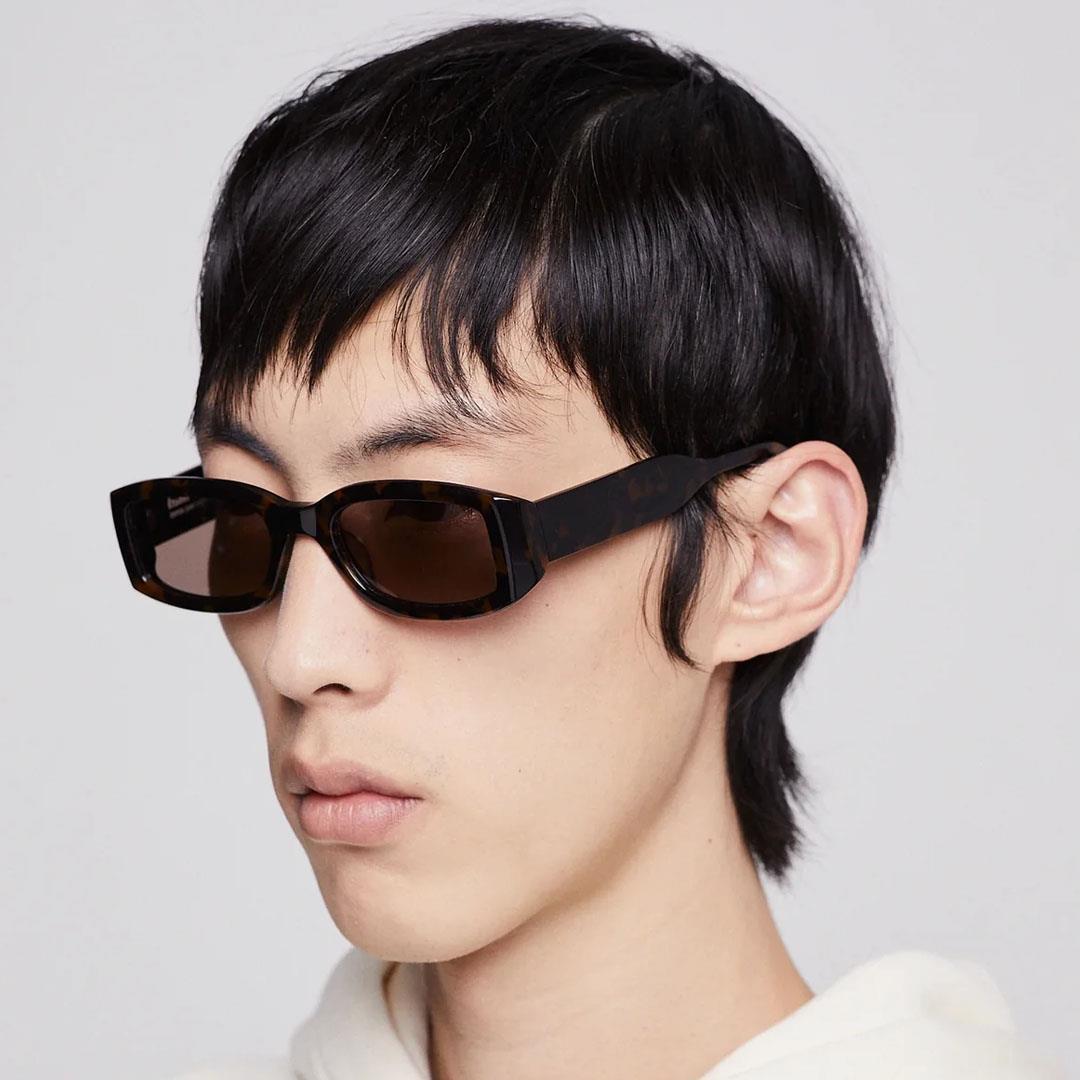 ETUDES ECHANGE SUN TORTOISE