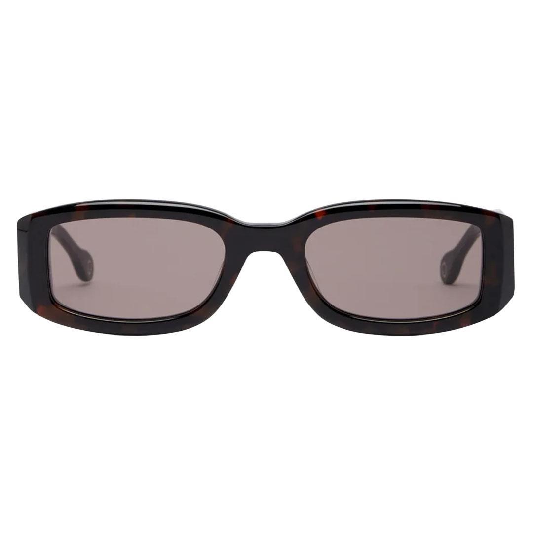 ETUDES ECHANGE SUN TORTOISE