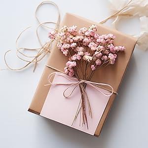 10lu Set Kuru Çiçek Doğal Cipso Şoklanmış Bozulmaz 10Farklı  Karışık Renkler