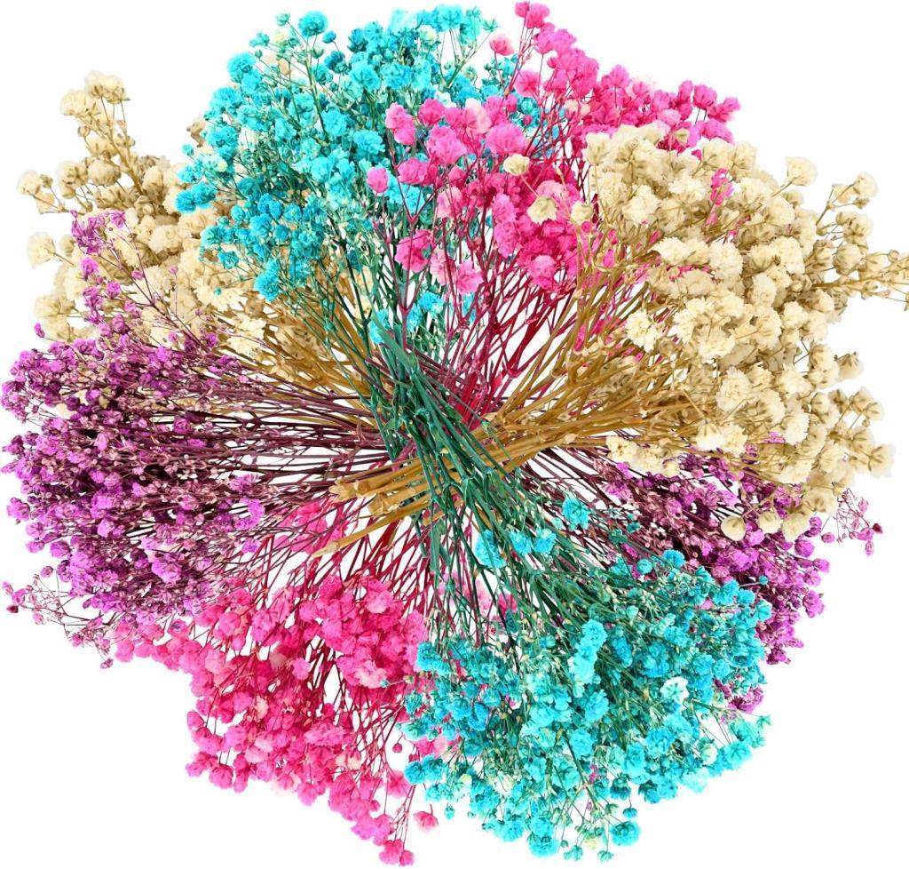 10lu Set Kuru Çiçek Doğal Cipso Şoklanmış Bozulmaz 10Farklı  Karışık Renkler