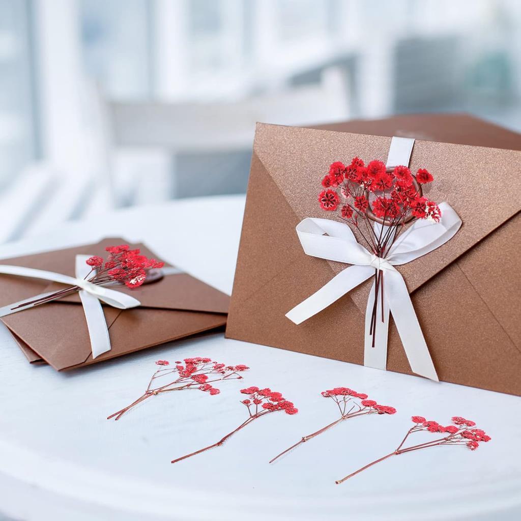 10lu Set Kuru Çiçek Doğal KIRMIZI Cipso Şoklanmış Bozulmaz