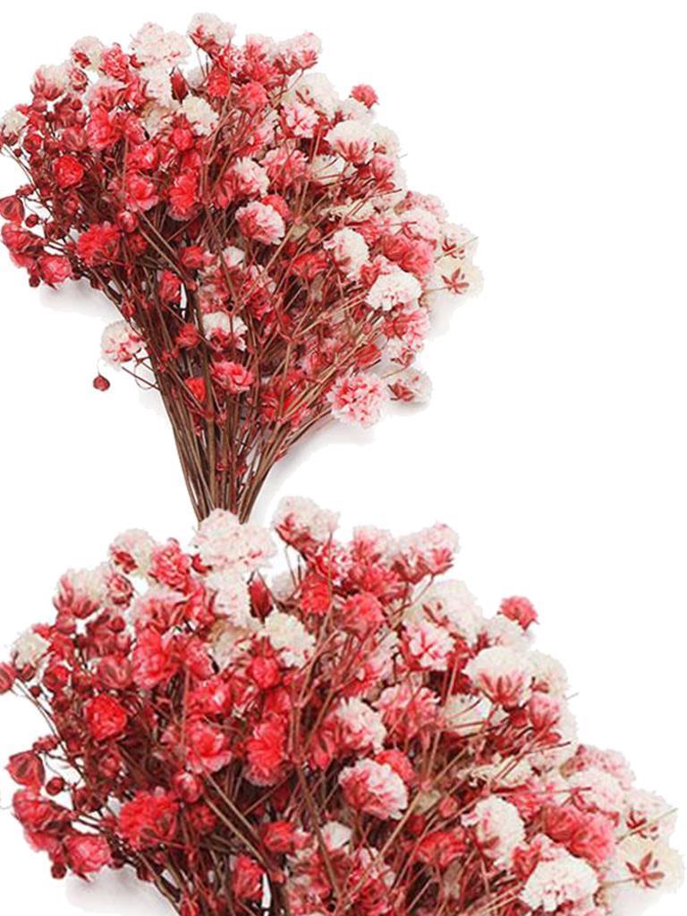 10lu Set Kuru Çiçek Doğal KIRMIZI Cipso Şoklanmış Bozulmaz