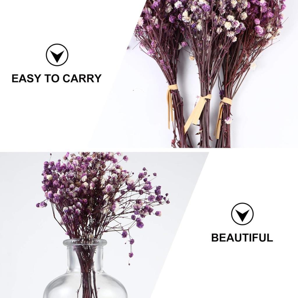 10lu Set Kuru Çiçek Doğal MOR Cipso Şoklanmış Bozulmaz