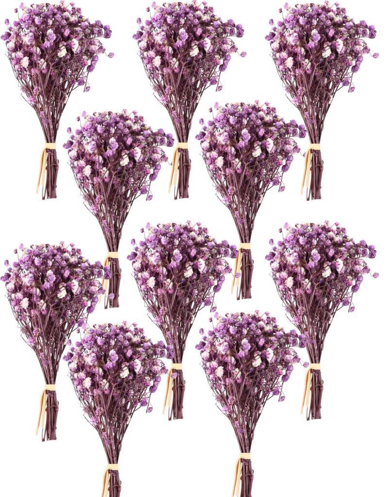 10lu Set Kuru Çiçek Doğal MOR Cipso Şoklanmış Bozulmaz