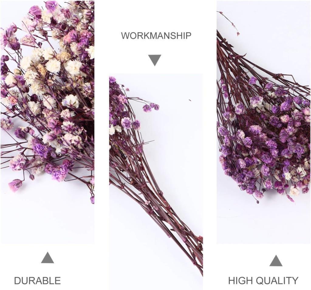 10lu Set Kuru Çiçek Doğal MOR Cipso Şoklanmış Bozulmaz