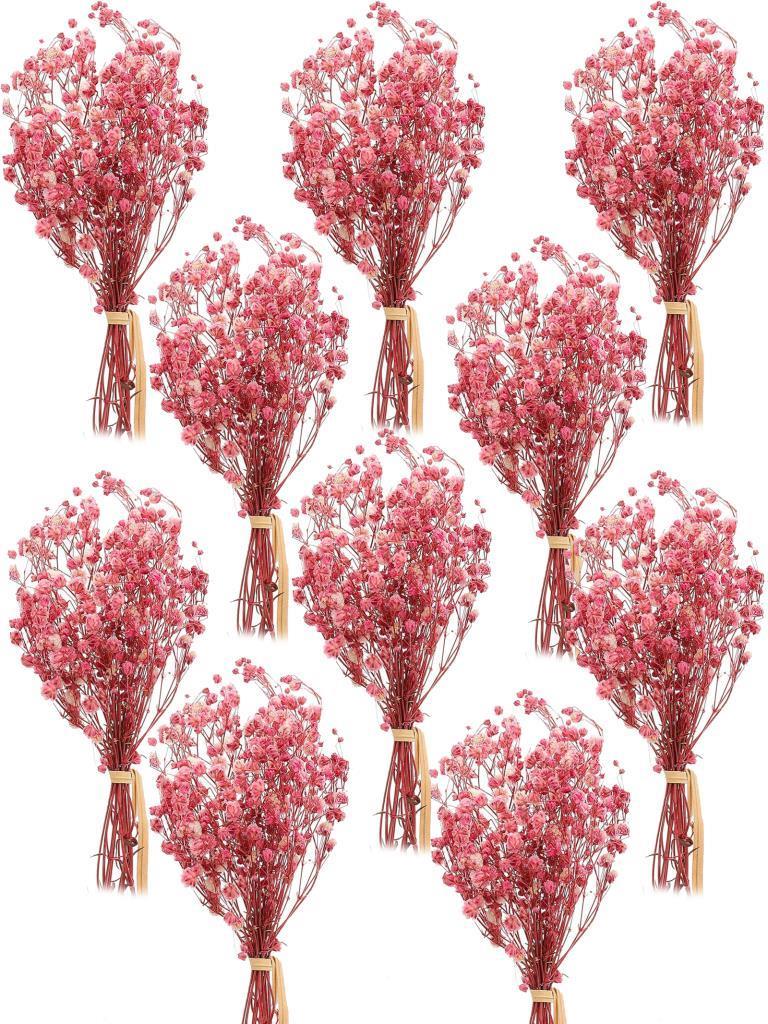 10lu Set Kuru Çiçek Doğal PEMBE AÇIK Cipso Şoklanmış Bozulmaz