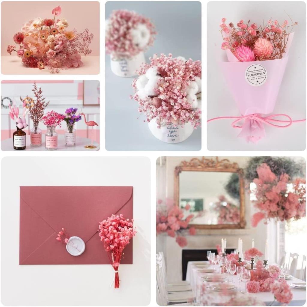 10lu Set Kuru Çiçek Doğal PEMBE AÇIK Cipso Şoklanmış Bozulmaz