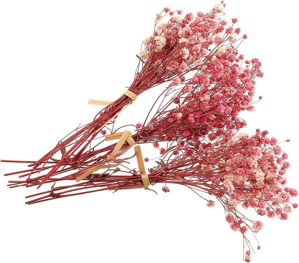 10lu Set Kuru Çiçek Doğal PEMBE AÇIK Cipso Şoklanmış Bozulmaz