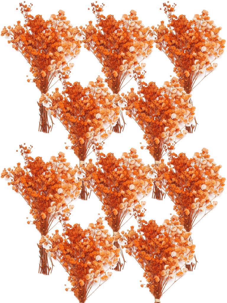 10lu Set Kuru Çiçek Doğal TURUNCU Cipso Şoklanmış Bozulmaz