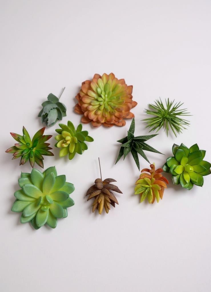 10lu Set Yapay Çiçek Kaktüs Sukulent Modelleri 10 Karışık Model Skulent 4202 