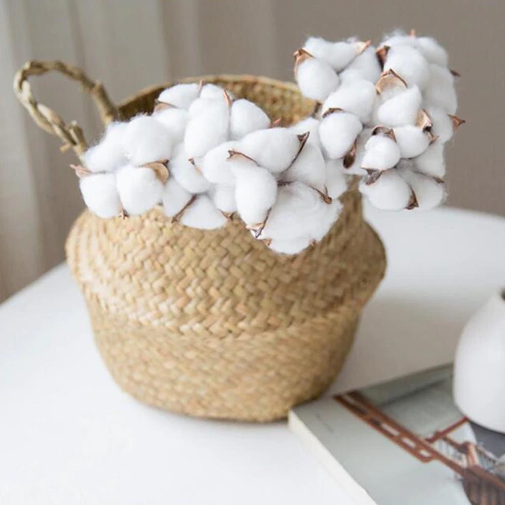 3lü Set Doğal Pamuk Çiçeği 30 Adet Tekli Dal Kuru Çiçek 30cm Yapay Çiçek
