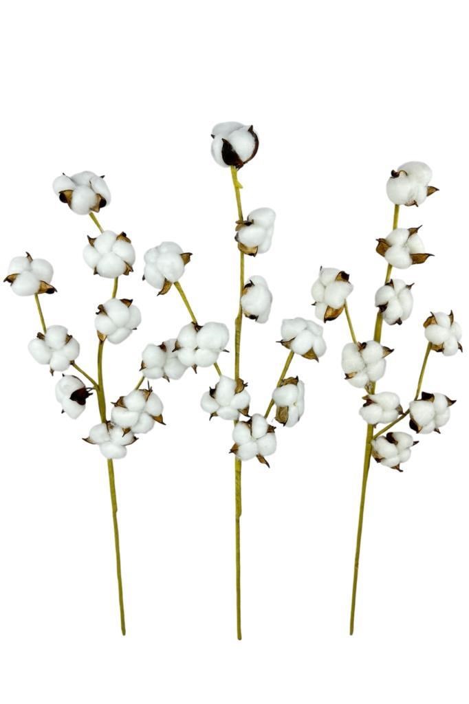 3lü Set Doğal Pamuk Çiçeği 9lu Kuru Çiçek 60cm Yapay Çiçek 