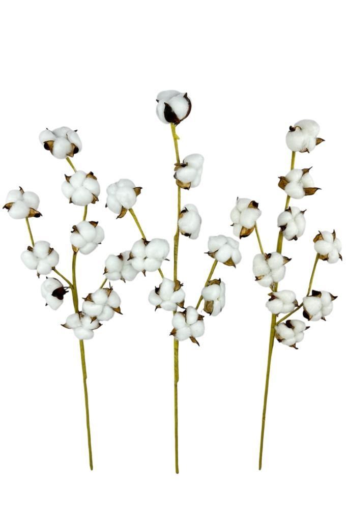 3lü Set Doğal Pamuk Çiçeği 9lu Kuru Çiçek 60cm Yapay Çiçek 