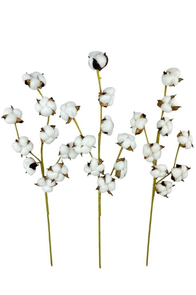 3lü Set Doğal Pamuk Çiçeği 9lu Kuru Çiçek 60cm Yapay Çiçek 
