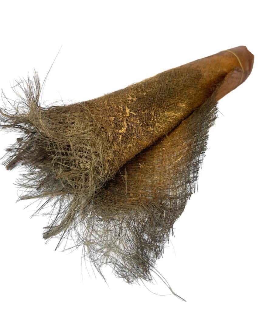 5 ADET  Kurutulmuş Palmiye Ağacı Kabuğu Lifi Natural Ağaç Gövdesi Kokos