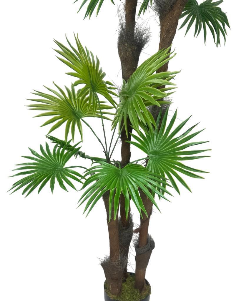 5 ADET  Kurutulmuş Palmiye Ağacı Kabuğu Lifi Natural Ağaç Gövdesi Kokos