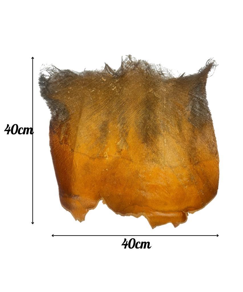 5 ADET  Kurutulmuş Palmiye Ağacı Kabuğu Lifi Natural Ağaç Gövdesi Kokos