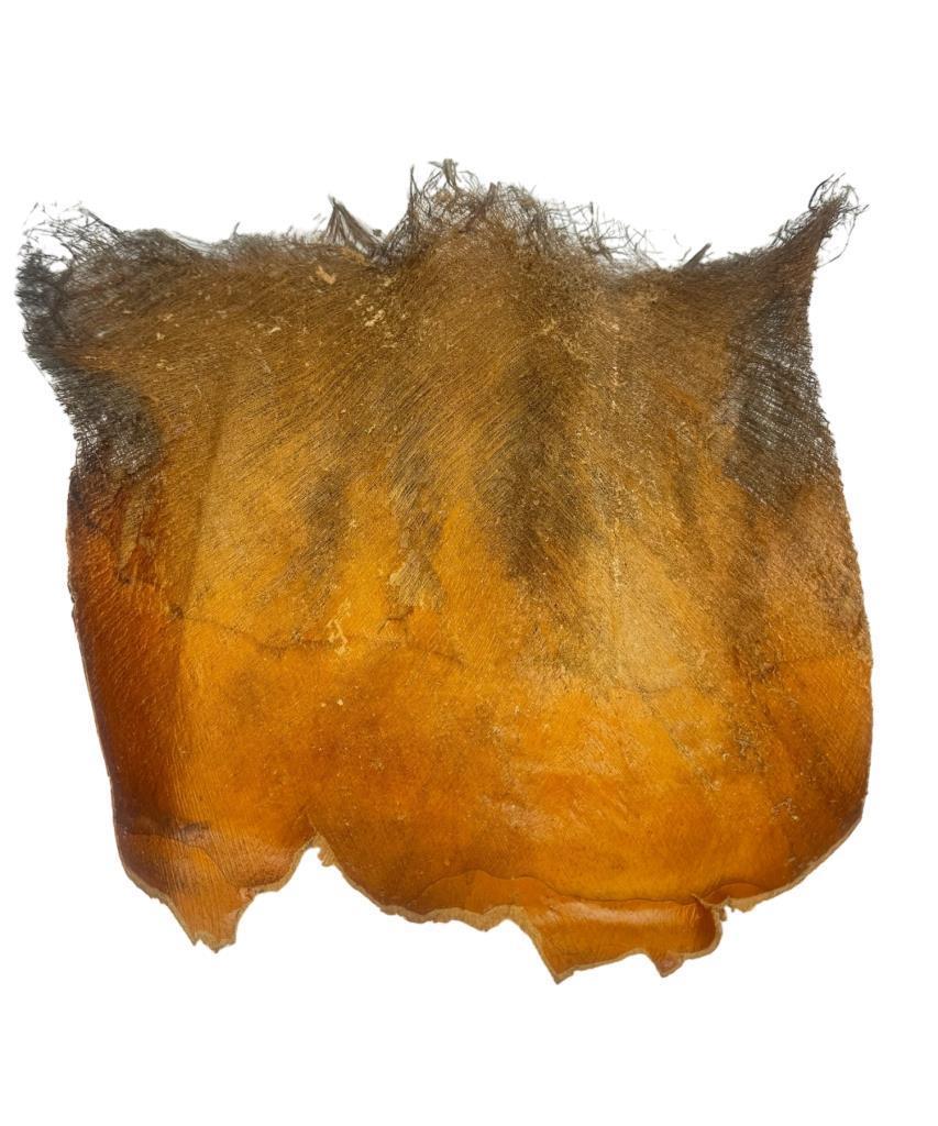 5 ADET  Kurutulmuş Palmiye Ağacı Kabuğu Lifi Natural Ağaç Gövdesi Kokos