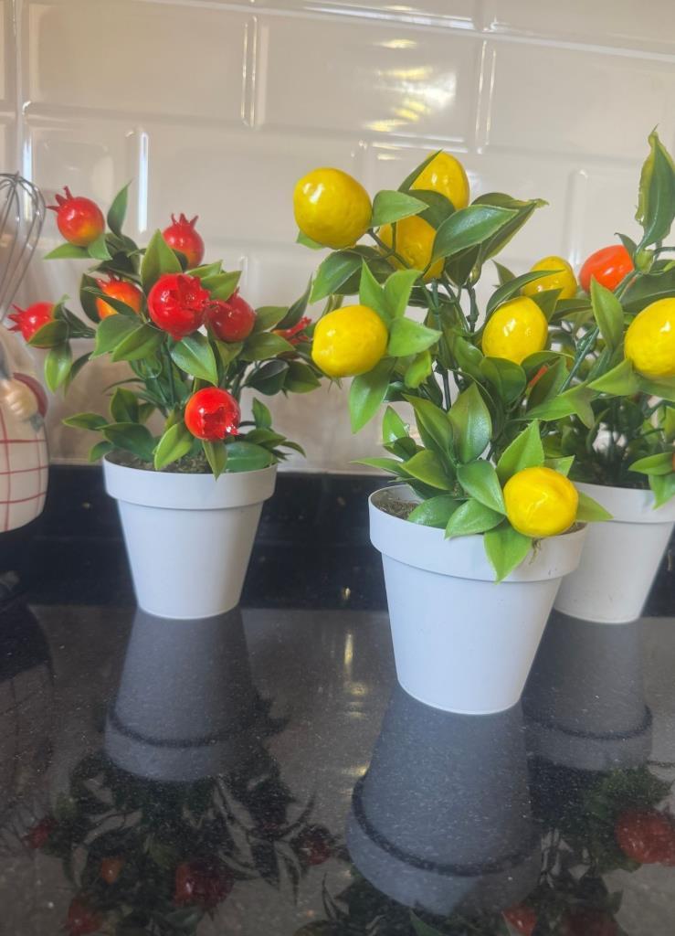 5li Set Yapay Çiçek Mini Saksıda Meyveler 20cm