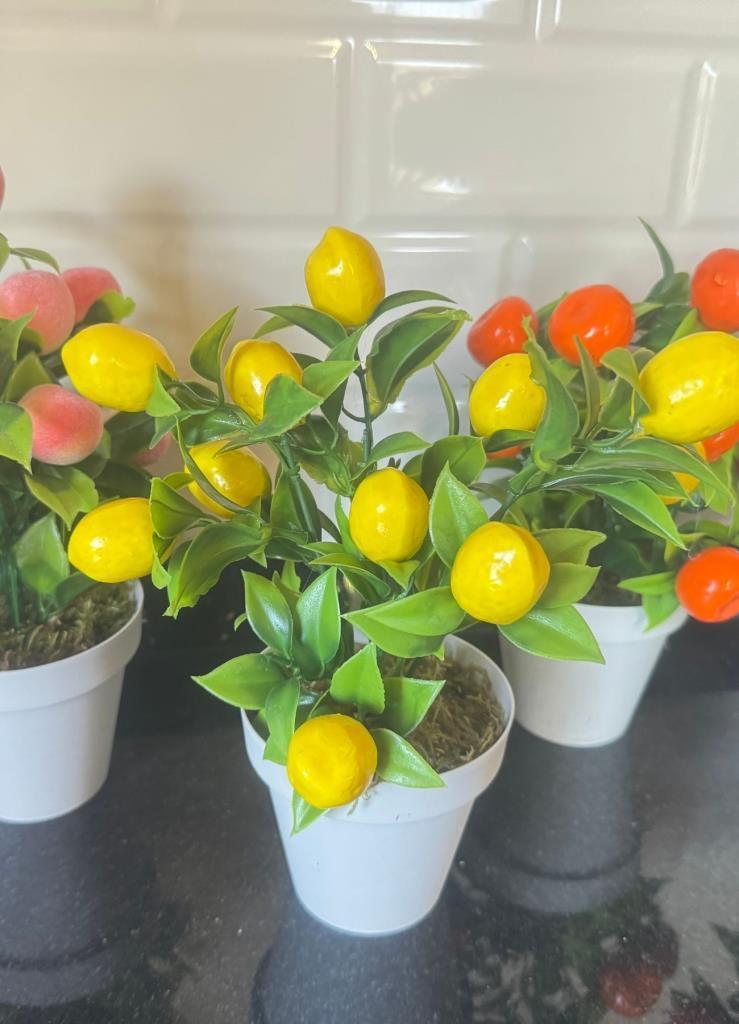 5li Set Yapay Çiçek Mini Saksıda Meyveler 20cm