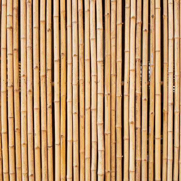 Bambu Sopası 120 cm 18-20mm Bambu Çubuğu 5 ADET 