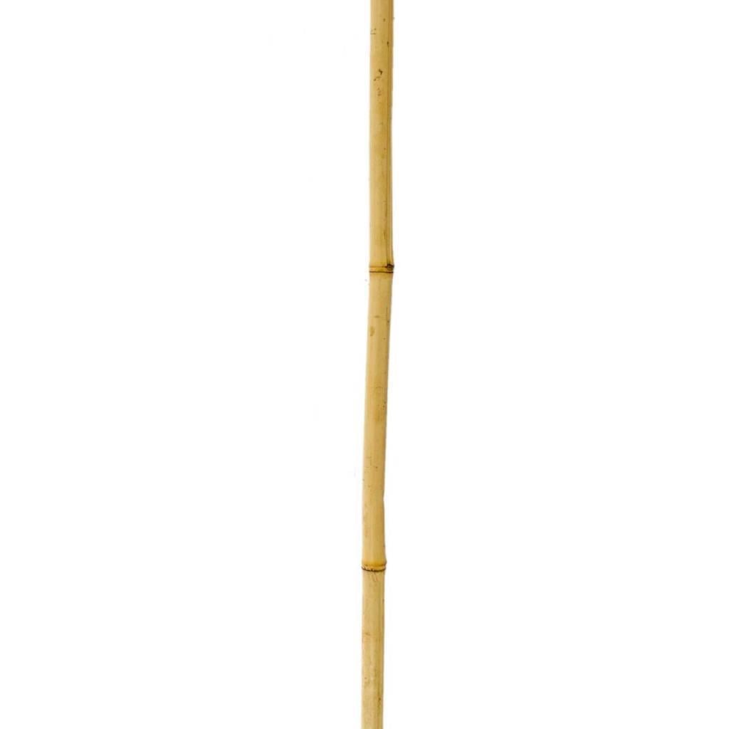 Bambu Sopası 150 cm 16 -18mm Bambu Çubuğu 5 ADET 