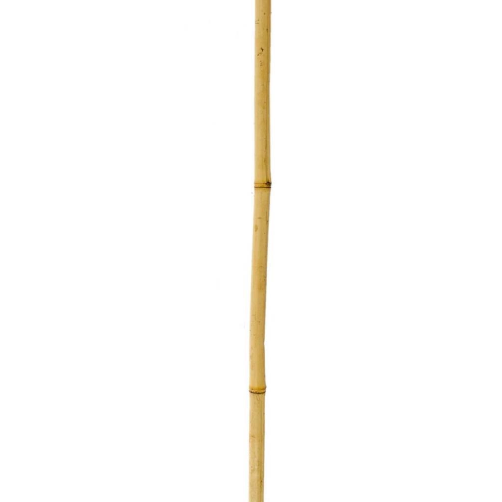 Bambu Sopası 180 cm 16 -18mm Bambu Çubuğu 5 ADET 