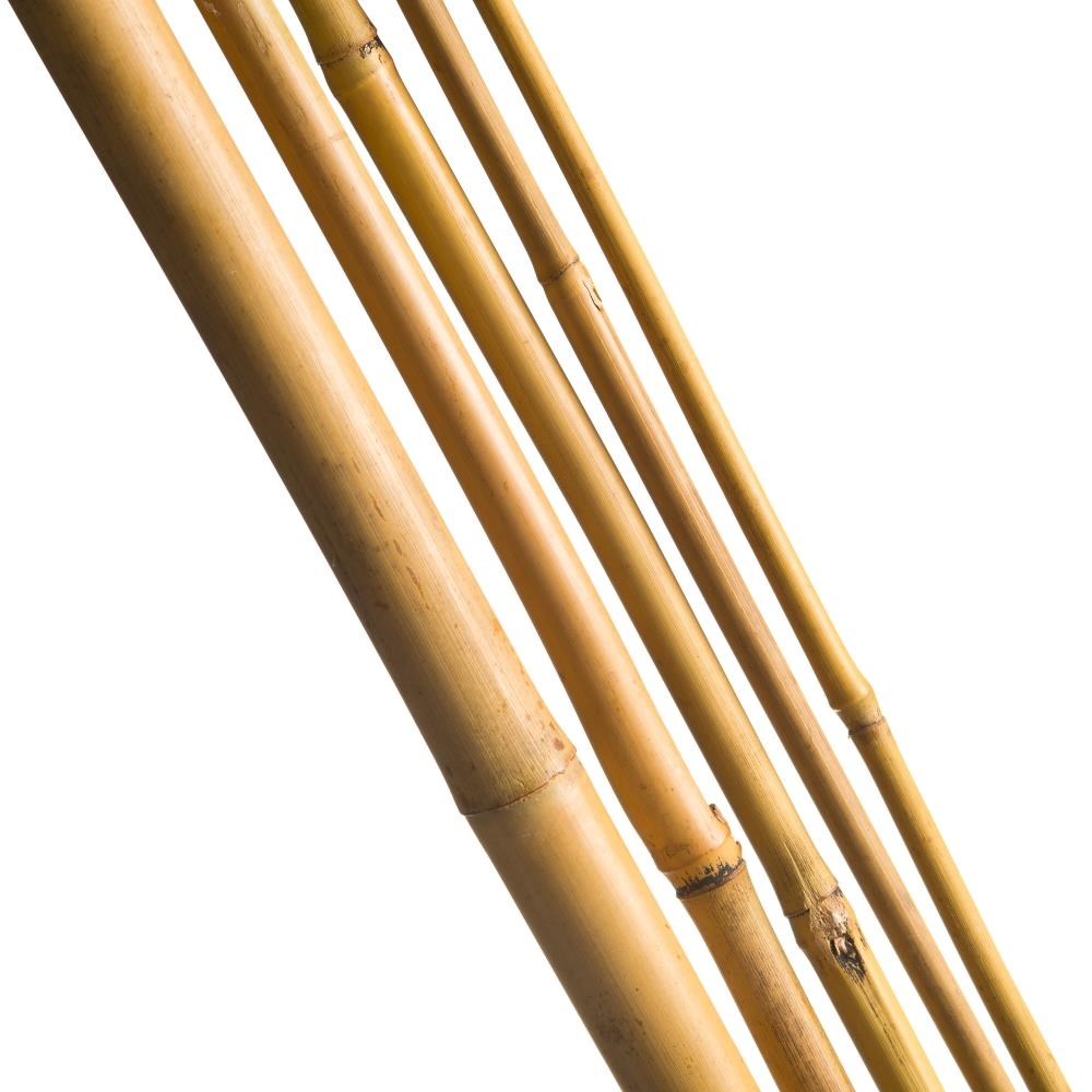 Bambu Sopası 180 cm 16 -18mm Bambu Çubuğu 5 ADET 