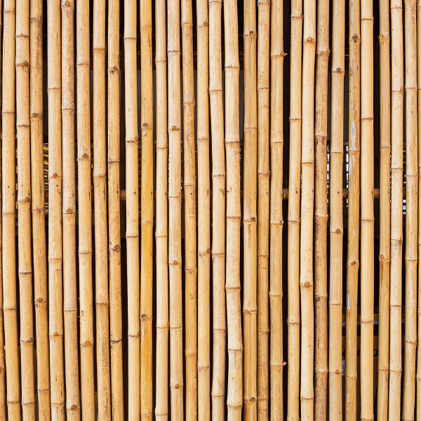 Bambu Sopası 180 cm 16 -18mm Bambu Çubuğu 5 ADET 