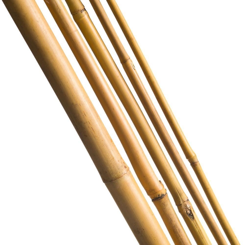 Bambu Sopası 210 cm 19-20mm Bambu Çubuğu 5 ADET 