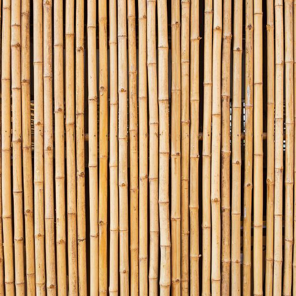 Bambu Sopası 210 cm 19-20mm Bambu Çubuğu 5 ADET 