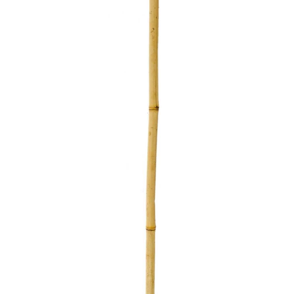 Bambu Sopası 240 cm 18-20mm Bambu Çubuğu 5 ADET 