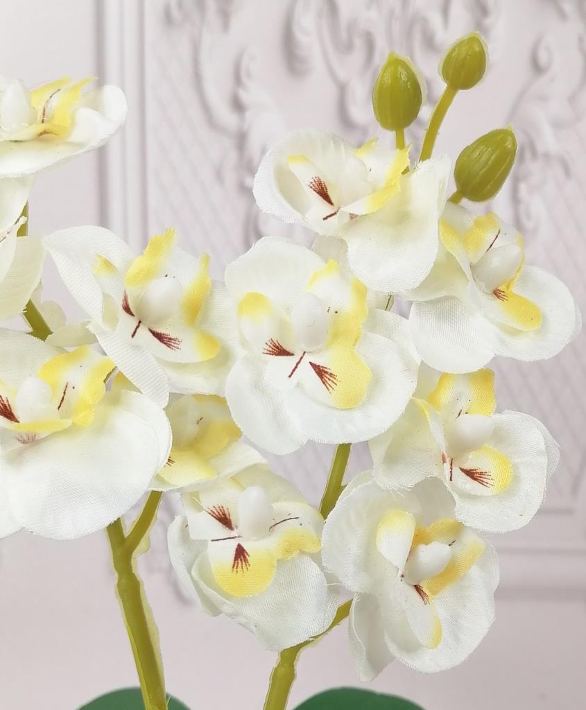 Beton Saksılı Yapay Orkide Pileli Etek Saksılı Beyaz Mini Yapay Orkide