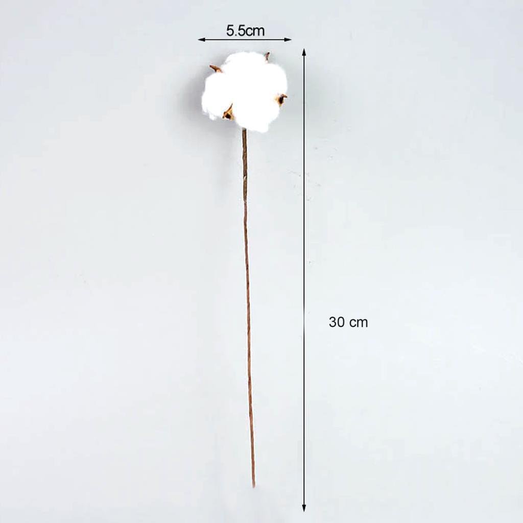 Doğal Pamuk Çiçeği 10 Adet Tekli Dal Kuru Çiçek 30 cm Yapay Çiçek